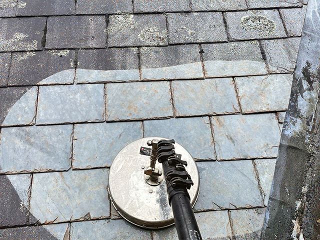 Roof Cleaning Services in Plymouth