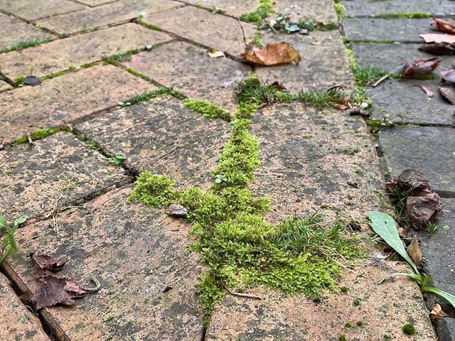driveway-cleaning-11-kireth-ai