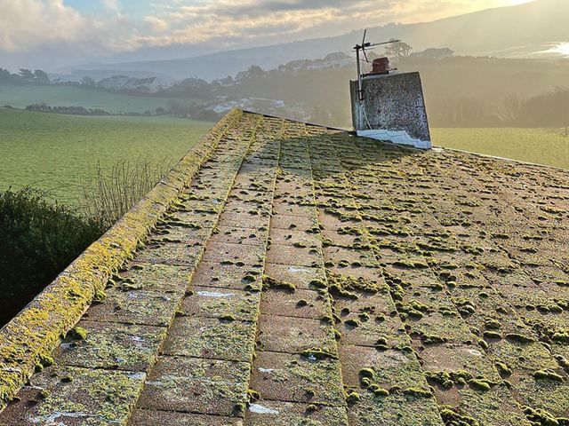 roof-cleaning-27-kireth-ai