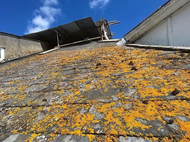 roof-cleaning-22-kireth-ai