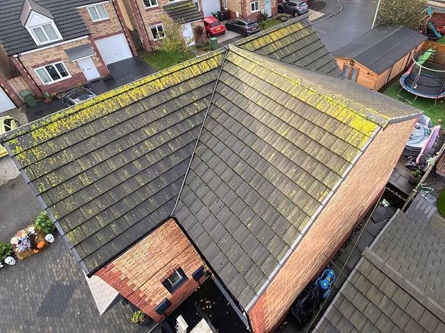Roof Before Cleaning