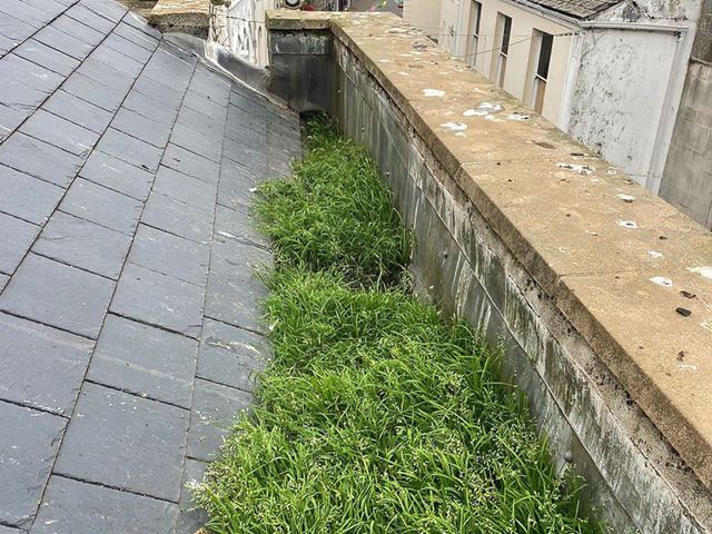 Gutter Before Cleaning
